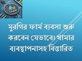 মুরগির ফার্ম ব্যবসা শুরু করবেন যেভাবে